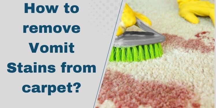 How to Remove Vomit Stains from the Carpet?