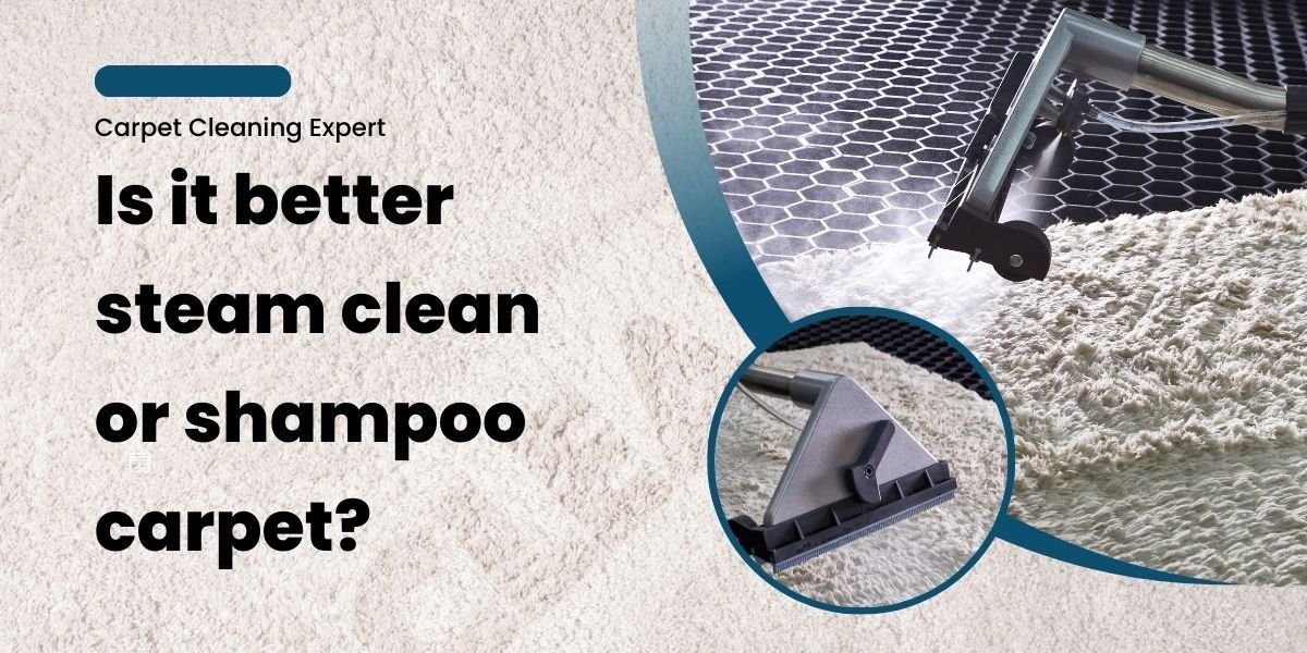 Is it Better to Steam Clean or Shampoo Carpet? Your Guide to the Best Carpet Cleaning in Melbourne