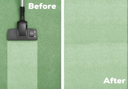Before And After Carpet Cleaning 1