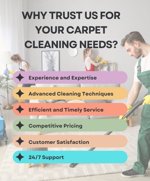  Why Trust Us for Your Carpet Cleaning
